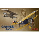 BIGGLES & Co. - 1/48 LIMITED EDITION