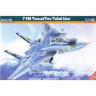F-14A Tomcat Two Tailed Lion - 1/48